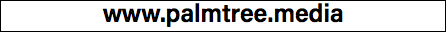 www.palmtree.media