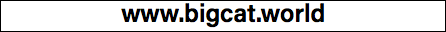 www.bigcat.world
